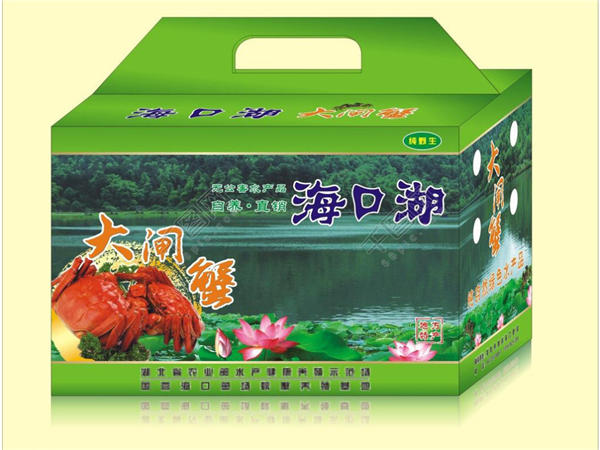 瓦楞(lèng)彩盒 