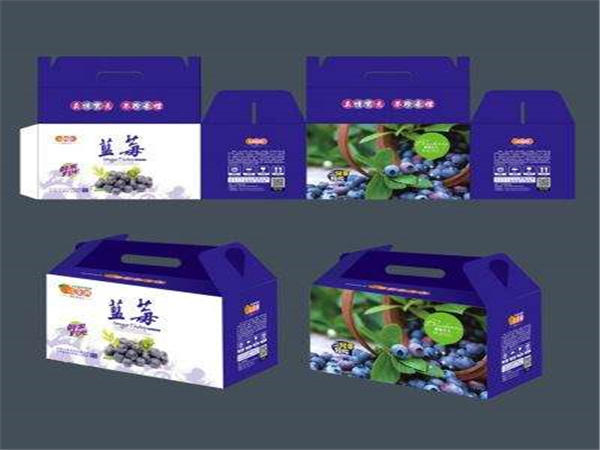 瓦楞(lèng)彩盒 